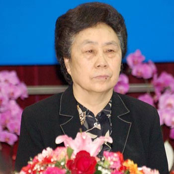 Professor Liu Jinan